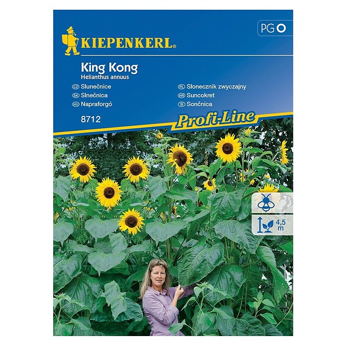 Kiepenkerl Cvetlična semena Sončnica King Kong  (Helianthus annuus, Rumena) | 8127 - Feinsämereien in PG Marke | IBYA - Sämereien | IBY - Sämereien | IB - Grünpflanzen/Sämereien | I - Stadtgarten | BAUHAUS