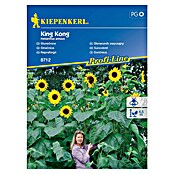 Kiepenkerl Cvetlična semena Sončnica King Kong  (Helianthus annuus, Rumena) | 8127 - Feinsämereien in PG Marke | IBYA - Sämereien | IBY - Sämereien | IB - Grünpflanzen/Sämereien | I - Stadtgarten | BAUHAUS