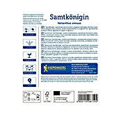 Kiepenkerl Cvetlična semena Sončnica Samtkönigin  (Helianthus annuus, Rdeča) | 8127 - Feinsämereien in PG Marke | IBYA - Sämereien | IBY - Sämereien | IB - Grünpflanzen/Sämereien | I - Stadtgarten | BAUHAUS