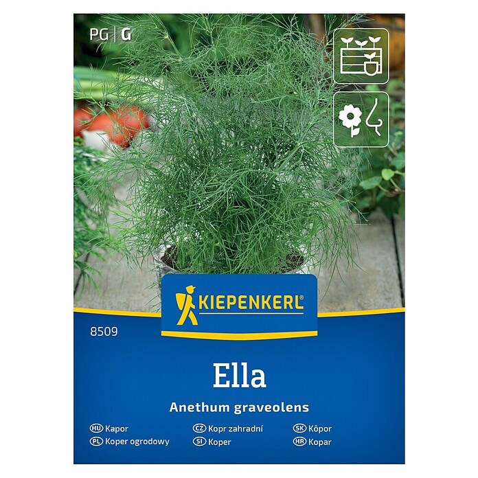 Kiepenkerl Zeliščna semena Koper Ella  (Anethum graveolens, Čas setve: Marec, Čas žetve: Maj) | 8127 - Feinsämereien in PG Marke | IBYA - Sämereien | IBY - Sämereien | IB - Grünpflanzen/Sämereien | I - Stadtgarten | BAUHAUS