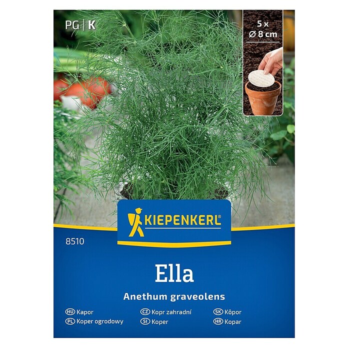 Kiepenkerl Zeliščna semena Koper Ella ploščica  (Anethum graveolens, Čas setve: Marec, Čas žetve: Maj) | 8127 - Feinsämereien in PG Marke | IBYA - Sämereien | IBY - Sämereien | IB - Grünpflanzen/Sämereien | I - Stadtgarten | BAUHAUS