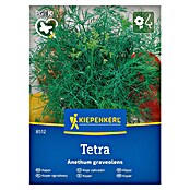 Kiepenkerl Zeliščna semena Koper Tetra  (Anethum graveolens, Čas setve: Marec, Čas žetve: Maj) | 8127 - Feinsämereien in PG Marke | IBYA - Sämereien | IBY - Sämereien | IB - Grünpflanzen/Sämereien | I - Stadtgarten | BAUHAUS
