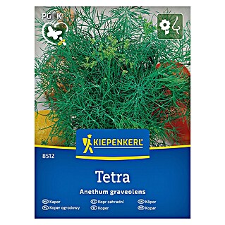 Kiepenkerl Zeliščna semena Koper Tetra (Anethum graveolens, Čas setve: Marec, Čas žetve: Maj)