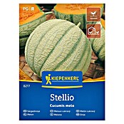 Kiepenkerl Sadna semena Melona Stellio  (Cucumis melo, Čas žetve: Avgust) | 8127 - Feinsämereien in PG Marke | IBYA - Sämereien | IBY - Sämereien | IB - Grünpflanzen/Sämereien | I - Stadtgarten | BAUHAUS