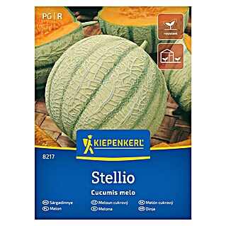 Kiepenkerl Sadna semena Melona Stellio (Cucumis melo, Čas žetve: Avgust)