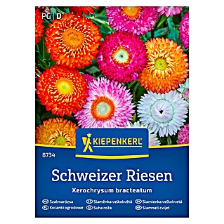 Kiepenkerl Cvetlična semena Suha roža Schweizer Riesen (Xerochrysum bracteatum, Večbarvna)