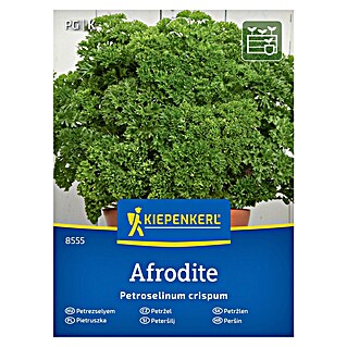 Kiepenkerl Zelenjavna semena Peteršilj Afrodite (Petroselinum crispum, Čas žetve: Junij)