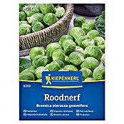 Kiepenkerl Zelenjavna semena Brstični ohrovt Roodnerf  (Brassica oleracea var. gemmifera, Čas žetve: Oktober) | 8127 - Feinsämereien in PG Marke | IBYA - Sämereien | IBY - Sämereien | IB - Grünpflanzen/Sämereien | I - Stadtgarten | BAUHAUS