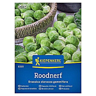 Kiepenkerl Zelenjavna semena Brstični ohrovt Roodnerf (Brassica oleracea var. gemmifera, Čas žetve: Oktober)