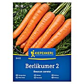 Kiepenkerl Zelenjavna semena Korenje Berlikumer 2  (Daucus carota subsp. sativus, Čas žetve: Avgust) | 8127 - Feinsämereien in PG Marke | IBYA - Sämereien | IBY - Sämereien | IB - Grünpflanzen/Sämereien | I - Stadtgarten | BAUHAUS