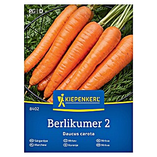 Kiepenkerl Zelenjavna semena Korenje Berlikumer 2 (Daucus carota subsp. sativus, Čas žetve: Avgust)