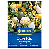 Kiepenkerl Mešanica zelenjavnih semen Okrasne buče Deko Mix  (Cucurbita pepo, Čas žetve: September) | 8127 - Feinsämereien in PG Marke | IBYA - Sämereien | IBY - Sämereien | IB - Grünpflanzen/Sämereien | I - Stadtgarten | BAUHAUS
