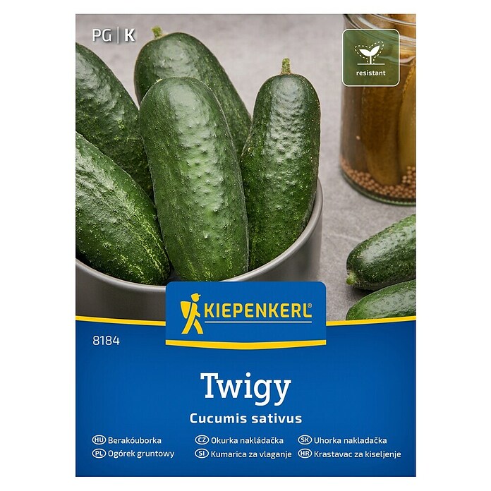 Kiepenkerl Zelenjavna semena Kumara Twigy F1  (Cucumis sativa, Čas žetve: Julij) | 8127 - Feinsämereien in PG Marke | IBYA - Sämereien | IBY - Sämereien | IB - Grünpflanzen/Sämereien | I - Stadtgarten | BAUHAUS