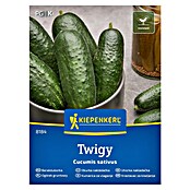 Kiepenkerl Zelenjavna semena Kumara Twigy F1  (Cucumis sativa, Čas žetve: Julij) | 8127 - Feinsämereien in PG Marke | IBYA - Sämereien | IBY - Sämereien | IB - Grünpflanzen/Sämereien | I - Stadtgarten | BAUHAUS