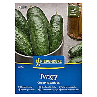 Kiepenkerl Zelenjavna semena Kumara Twigy F1 (Cucumis sativa, Čas žetve: Julij)