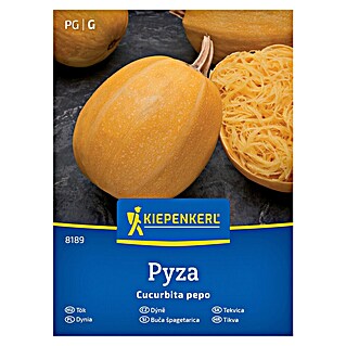 Kiepenkerl Zelenjavna semena Buča Pyza (Cucurbita pepo, Čas žetve: September)
