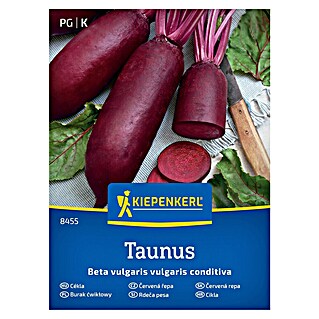 Kiepenkerl Zelenjavna semena Rdeča pesa Taunus (Beta vulgaris subsp. vulgaris Conditiva Gp, Čas žetve: Julij)