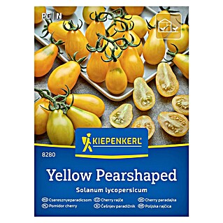 Kiepenkerl Zelenjavna semena Paradižnik Yellow Pearshaped (Cicer arietinum, Čas žetve: Vse leto)
