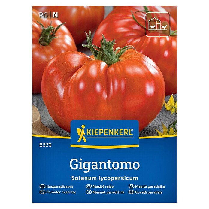 Kiepenkerl Zelenjavna semena Paradižnik Gigantomo F1  (Solanum lycopersicum, Čas žetve: Julij) | 8127 - Feinsämereien in PG Marke | IBYA - Sämereien | IBY - Sämereien | IB - Grünpflanzen/Sämereien | I - Stadtgarten | BAUHAUS