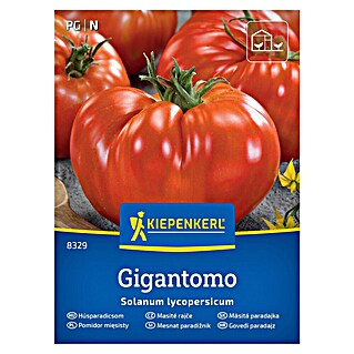 Kiepenkerl Zelenjavna semena Paradižnik Gigantomo F1 (Solanum lycopersicum, Čas žetve: Julij)