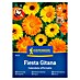 Kiepenkerl Cvetlična semena Ognjič Fiesta Gitana 