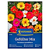 Kiepenkerl Cvetlična semena Velecvetni tolščak  (Portulaca grandiflora) | 8127 - Feinsämereien in PG Marke | IBYA - Sämereien | IBY - Sämereien | IB - Grünpflanzen/Sämereien | I - Stadtgarten | BAUHAUS