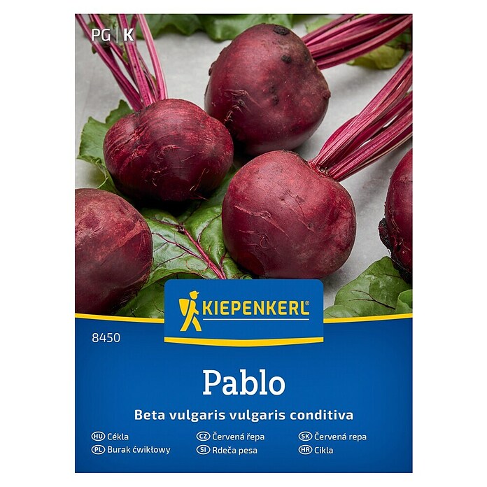Kiepenkerl Zelenjavna semena Rdeča pesa Pablo  (Beta vulgaris subsp. vulgaris Conditiva Gp, Čas žetve: Julij) | 8127 - Feinsämereien in PG Marke | IBYA - Sämereien | IBY - Sämereien | IB - Grünpflanzen/Sämereien | I - Stadtgarten | BAUHAUS