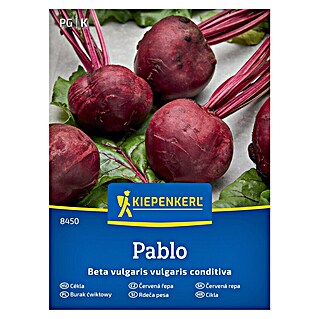 Kiepenkerl Zelenjavna semena Rdeča pesa Pablo (Beta vulgaris subsp. vulgaris Conditiva Gp, Čas žetve: Julij)