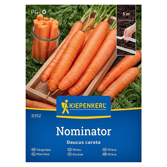 Kiepenkerl Zelenjavna semena Korenje Nominator F1 trak  (Daucus carota subsp. sativus, Čas žetve: Junij) | 8127 - Feinsämereien in PG Marke | IBYA - Sämereien | IBY - Sämereien | IB - Grünpflanzen/Sämereien | I - Stadtgarten | BAUHAUS