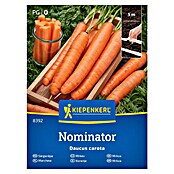 Kiepenkerl Zelenjavna semena Korenje Nominator F1 trak  (Daucus carota subsp. sativus, Čas žetve: Junij) | 8127 - Feinsämereien in PG Marke | IBYA - Sämereien | IBY - Sämereien | IB - Grünpflanzen/Sämereien | I - Stadtgarten | BAUHAUS