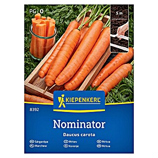 Kiepenkerl Zelenjavna semena Korenje Nominator F1 trak (Daucus carota subsp. sativus, Čas žetve: Junij)