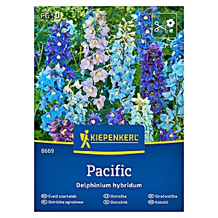 Kiepenkerl Cvetlična semena Ostrožnik Pacific (Delphinium hybridum, Večbarvna)