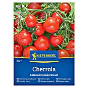Kiepenkerl Zelenjavna semena Paradižnik Cherrola F1  (Solanum lycopersicum, Čas žetve: Julij) | 8127 - Feinsämereien in PG Marke | IBYA - Sämereien | IBY - Sämereien | IB - Grünpflanzen/Sämereien | I - Stadtgarten | BAUHAUS