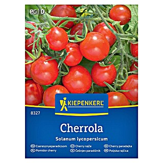 Kiepenkerl Zelenjavna semena Paradižnik Cherrola F1 (Solanum lycopersicum, Čas žetve: Julij)