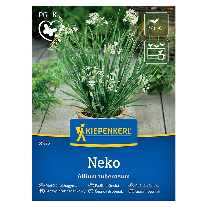 Kiepenkerl Zeliščna semena Drobnjak Neko  (Allium tuberosum, Čas setve: April, Čas žetve: Maj) | 8127 - Feinsämereien in PG Marke | IBYA - Sämereien | IBY - Sämereien | IB - Grünpflanzen/Sämereien | I - Stadtgarten | BAUHAUS