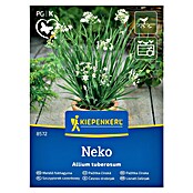 Kiepenkerl Zeliščna semena Drobnjak Neko  (Allium tuberosum, Čas setve: April, Čas žetve: Maj) | 8127 - Feinsämereien in PG Marke | IBYA - Sämereien | IBY - Sämereien | IB - Grünpflanzen/Sämereien | I - Stadtgarten | BAUHAUS