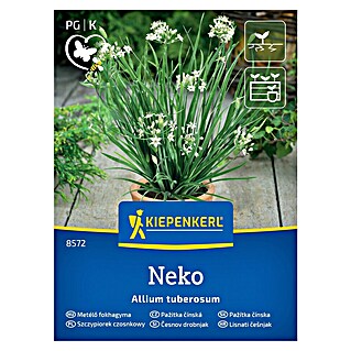 Kiepenkerl Zeliščna semena Drobnjak Neko (Allium tuberosum, Čas setve: April, Čas žetve: Maj)