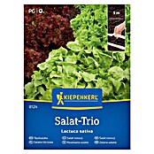 Kiepenkerl Zelenjavna semena Solata Trio  (Lactuca sativa, Čas žetve: Maj) | 8127 - Feinsämereien in PG Marke | IBYA - Sämereien | IBY - Sämereien | IB - Grünpflanzen/Sämereien | I - Stadtgarten | BAUHAUS