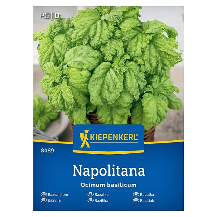Kiepenkerl Zeliščna semena Bazilika Napolitana  (Ocimum basilicum, Čas setve: Maj, Čas žetve: Junij) | 8127 - Feinsämereien in PG Marke | IBYA - Sämereien | IBY - Sämereien | IB - Grünpflanzen/Sämereien | I - Stadtgarten | BAUHAUS