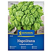 Kiepenkerl Zeliščna semena Bazilika Napolitana  (Ocimum basilicum, Čas setve: Maj, Čas žetve: Junij) | 8127 - Feinsämereien in PG Marke | IBYA - Sämereien | IBY - Sämereien | IB - Grünpflanzen/Sämereien | I - Stadtgarten | BAUHAUS