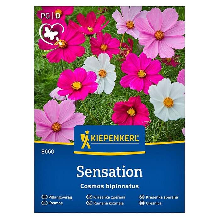 Kiepenkerl Cvetlična semena Pernatolistna kozmeja Sensation  (Cosmos bipinnatus, Večbarvna) | 8127 - Feinsämereien in PG Marke | IBYA - Sämereien | IBY - Sämereien | IB - Grünpflanzen/Sämereien | I - Stadtgarten | BAUHAUS