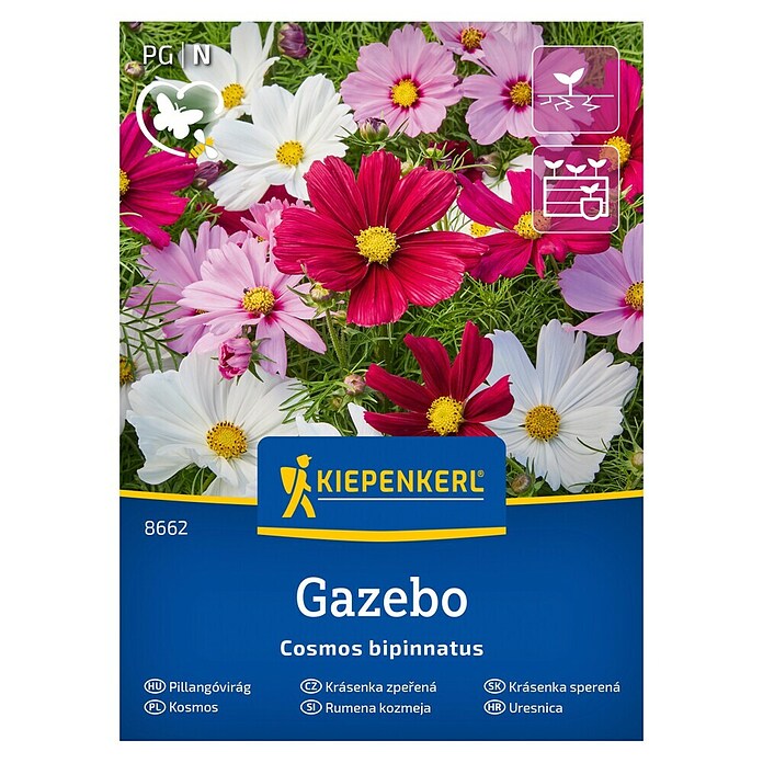 Kiepenkerl Cvetlična semena Pernatolistna kozmeja Gazebo  (Cosmos bipinnatus, Večbarvna) | 8127 - Feinsämereien in PG Marke | IBYA - Sämereien | IBY - Sämereien | IB - Grünpflanzen/Sämereien | I - Stadtgarten | BAUHAUS