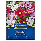 Kiepenkerl Cvetlična semena Pernatolistna kozmeja Gazebo  (Cosmos bipinnatus, Večbarvna) | 8127 - Feinsämereien in PG Marke | IBYA - Sämereien | IBY - Sämereien | IB - Grünpflanzen/Sämereien | I - Stadtgarten | BAUHAUS