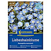 Kiepenkerl Cvetlična semena Modrooka  (Nemophila menziesii, Modra) | 8127 - Feinsämereien in PG Marke | IBYA - Sämereien | IBY - Sämereien | IB - Grünpflanzen/Sämereien | I - Stadtgarten | BAUHAUS