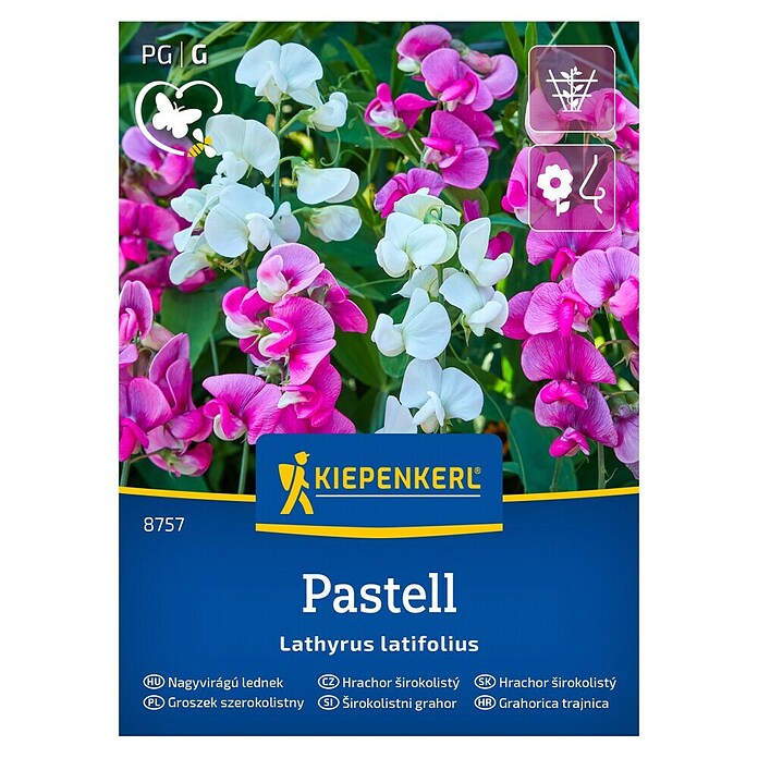 Kiepenkerl Cvetlična semena Širokolistni grahor Pastell  (Lathyrus latifolius, Večbarvna) | 8127 - Feinsämereien in PG Marke | IBYA - Sämereien | IBY - Sämereien | IB - Grünpflanzen/Sämereien | I - Stadtgarten | BAUHAUS