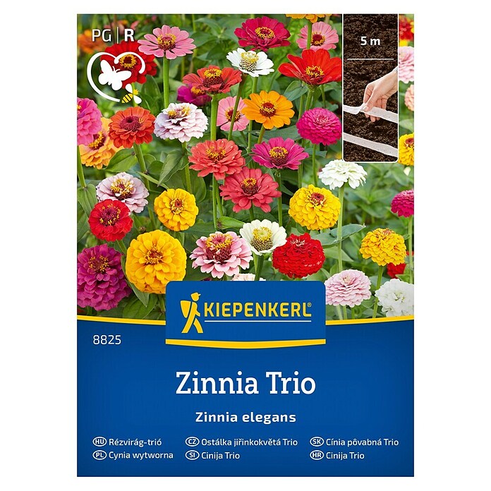Kiepenkerl Mešana cvetlična semena Cinija Trio  (Zinnia elegans) | 8127 - Feinsämereien in PG Marke | IBYA - Sämereien | IBY - Sämereien | IB - Grünpflanzen/Sämereien | I - Stadtgarten | BAUHAUS