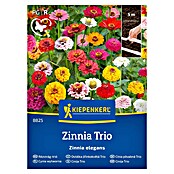 Kiepenkerl Mešana cvetlična semena Cinija Trio  (Zinnia elegans) | 8127 - Feinsämereien in PG Marke | IBYA - Sämereien | IBY - Sämereien | IB - Grünpflanzen/Sämereien | I - Stadtgarten | BAUHAUS