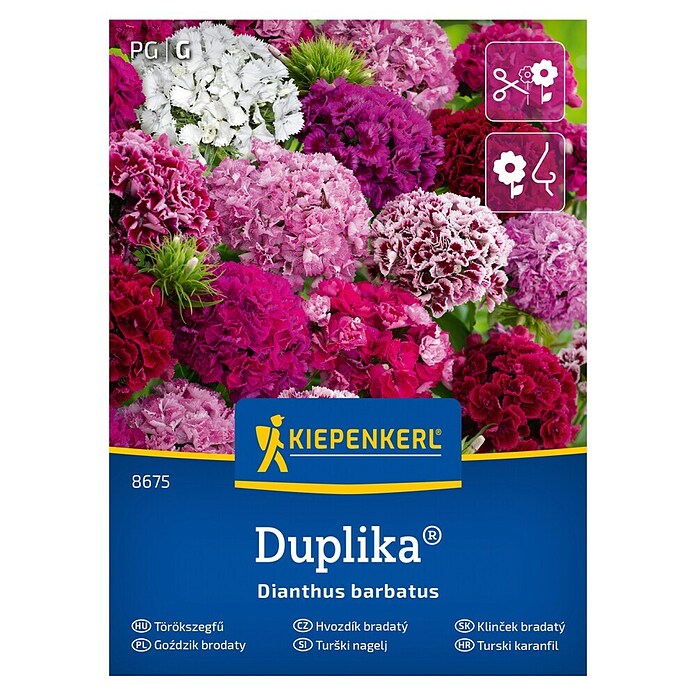 Kiepenkerl Mešana cvetlična semena Turški nagelj Duplika  (Dianthus barbatus, Večbarvna) | 8127 - Feinsämereien in PG Marke | IBYA - Sämereien | IBY - Sämereien | IB - Grünpflanzen/Sämereien | I - Stadtgarten | BAUHAUS