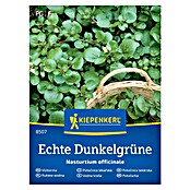 Kiepenkerl Zelenjavna semena Navadna vodna kreša Echte Dunkelgrüne  (Nasturtium officinale, Čas žetve: Junij) | 8127 - Feinsämereien in PG Marke | IBYA - Sämereien | IBY - Sämereien | IB - Grünpflanzen/Sämereien | I - Stadtgarten | BAUHAUS