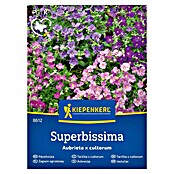 Kiepenkerl Cvetlična semena Avbrecija Superbissima  (Aubretia x cultorum, Večbarvna) | 8127 - Feinsämereien in PG Marke | IBYA - Sämereien | IBY - Sämereien | IB - Grünpflanzen/Sämereien | I - Stadtgarten | BAUHAUS